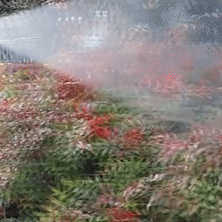 Cấu tạo của máy rửa xe Hitachi MRX-2P10 Cấu tạo của máy rửa xe Hitachi MRX-2P10