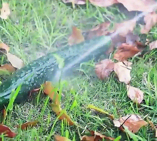 Cấu tạo của máy rửa xe Hitachi MRX-2P10 Cấu tạo của máy rửa xe Hitachi MRX-2P10